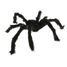Pavúk čierny